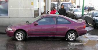 1993 Honda Civic picture