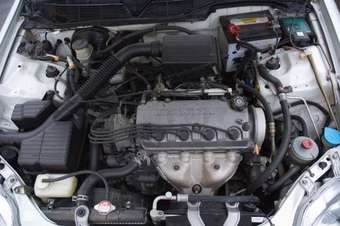 1996 Honda Civic picture