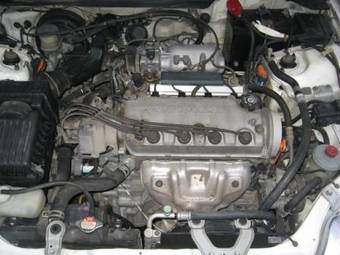 1999 Honda Civic picture