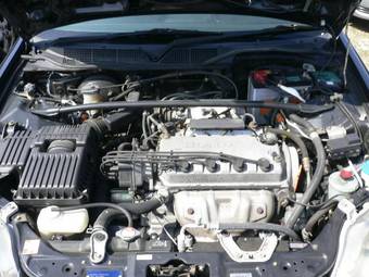 1999 Honda Civic picture