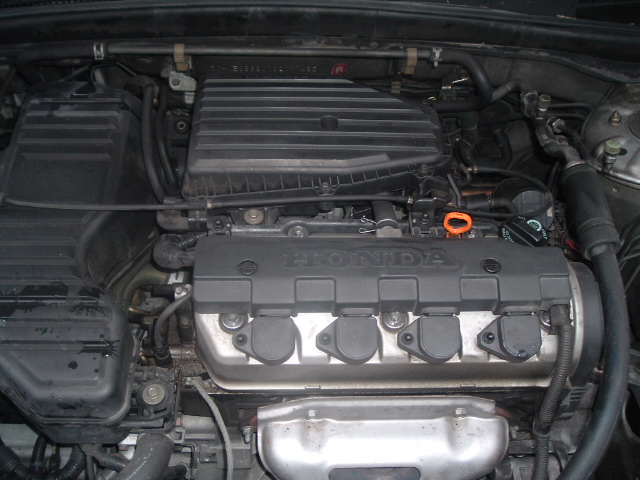 2001 Honda Civic picture