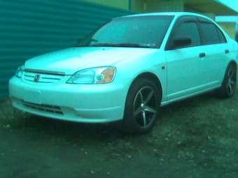 2001 Honda Civic picture