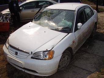 2001 Honda Civic picture