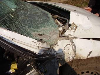 2001 Honda Civic picture