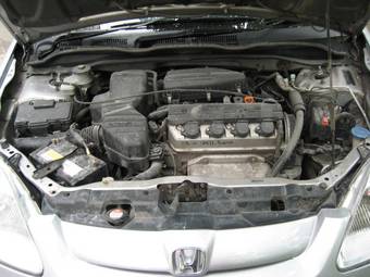 2001 Honda Civic picture
