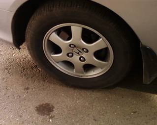 2001 Honda Civic picture
