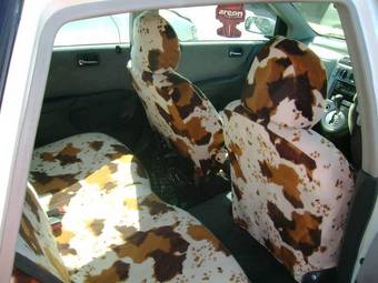 2002 Honda Civic picture