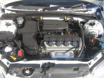 2003 Honda Civic picture