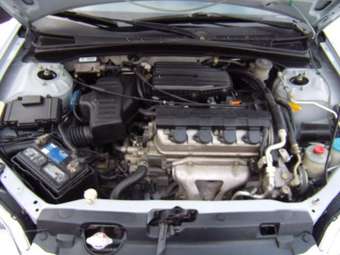2003 Honda Civic picture