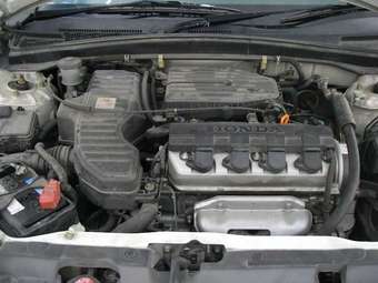 2003 Honda Civic picture