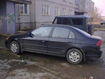2003 Honda Civic picture