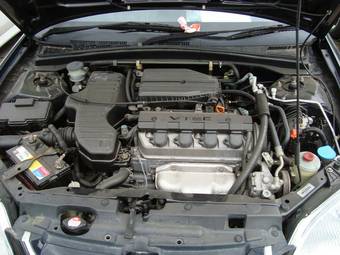 2003 Honda Civic picture