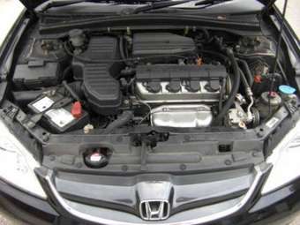2004 Honda Civic picture