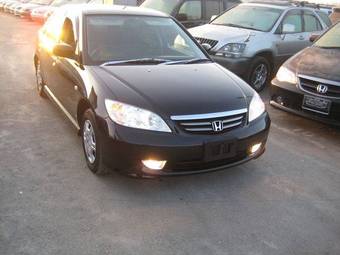 2004 Honda Civic picture