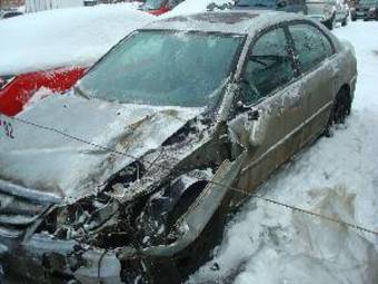 2004 Honda Civic picture