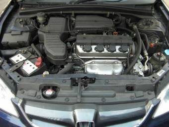 2005 Honda Civic picture
