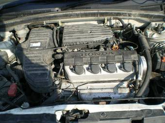 2005 Honda Civic picture