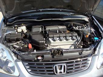 2005 Honda Civic picture