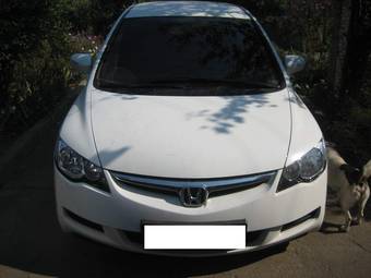 2008 Honda Civic picture