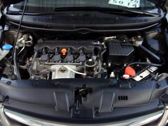 2008 Honda Civic picture